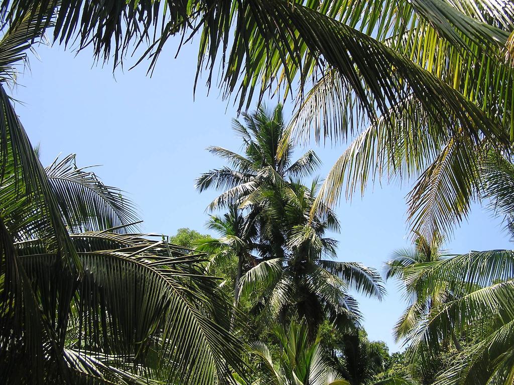 North Borneo Biostation Resort Kudat Eksteriør billede