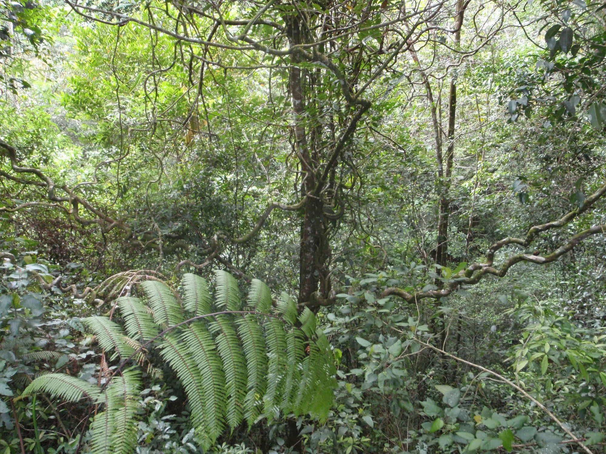 North Borneo Biostation Resort Kudat Eksteriør billede